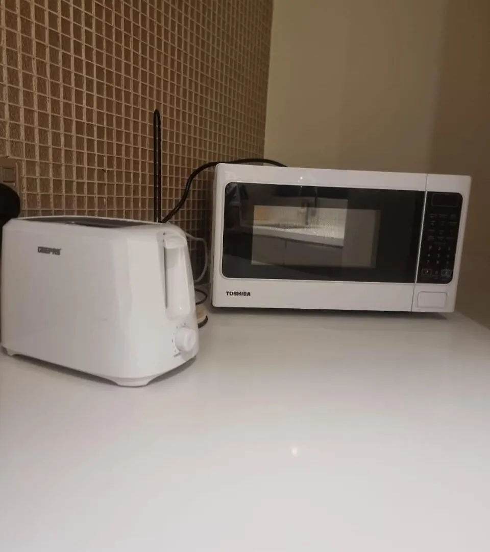 1 Bedroom Tower D Paramount Apt Dubai 0*,  United Arab Emirates